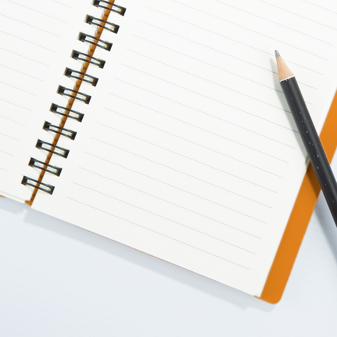 vacavaliente | Libreta Plein Air Rayado A6 Pumpkin Orange Envío gratis