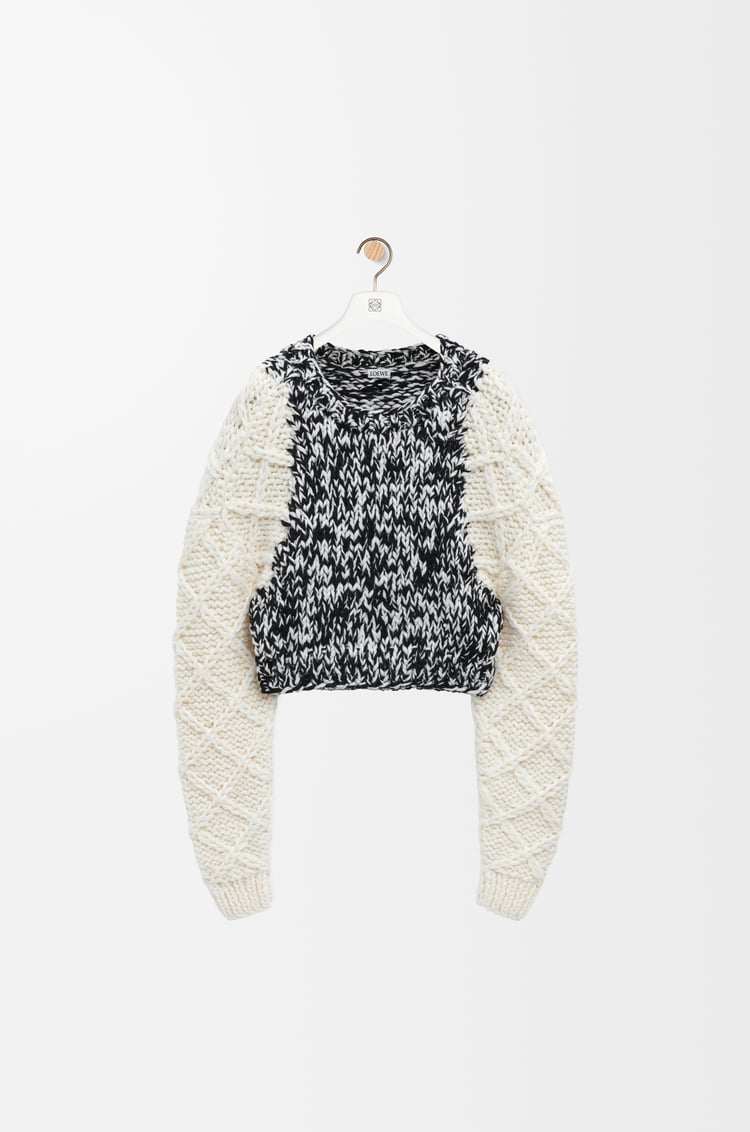 Loewe Sweater in wool blend 1 Colours Limitado a 3 días