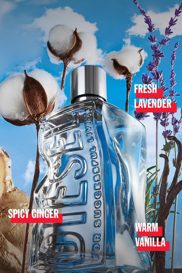 Diesel d 100 ml Tienda