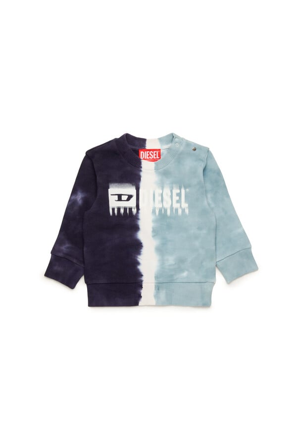 Diesel skiteb