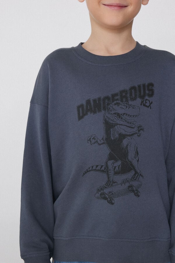 Tezenis Sudadera Manga Larga con Estampado para Niño Liquidación