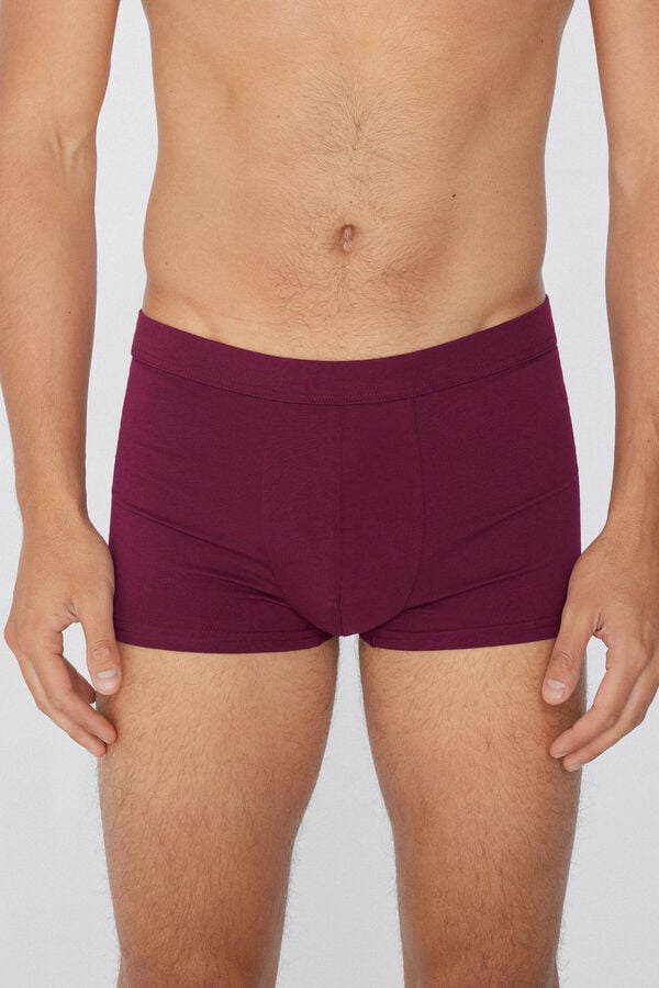 Tezenis Bóxer de Algodón Elástico