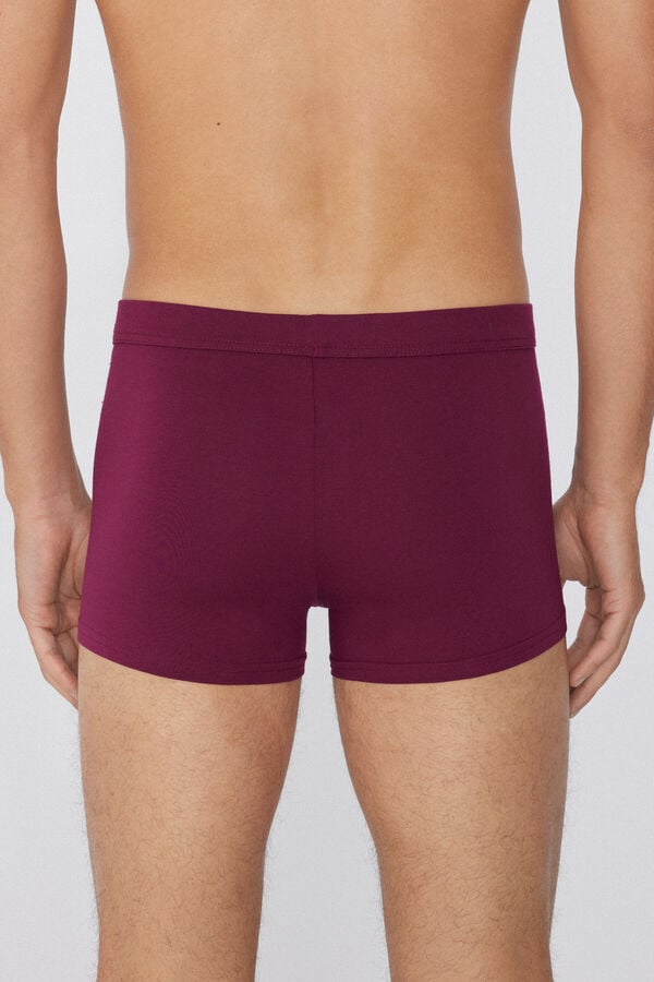 Tezenis Bóxer de Algodón Elástico Promoción trimestral