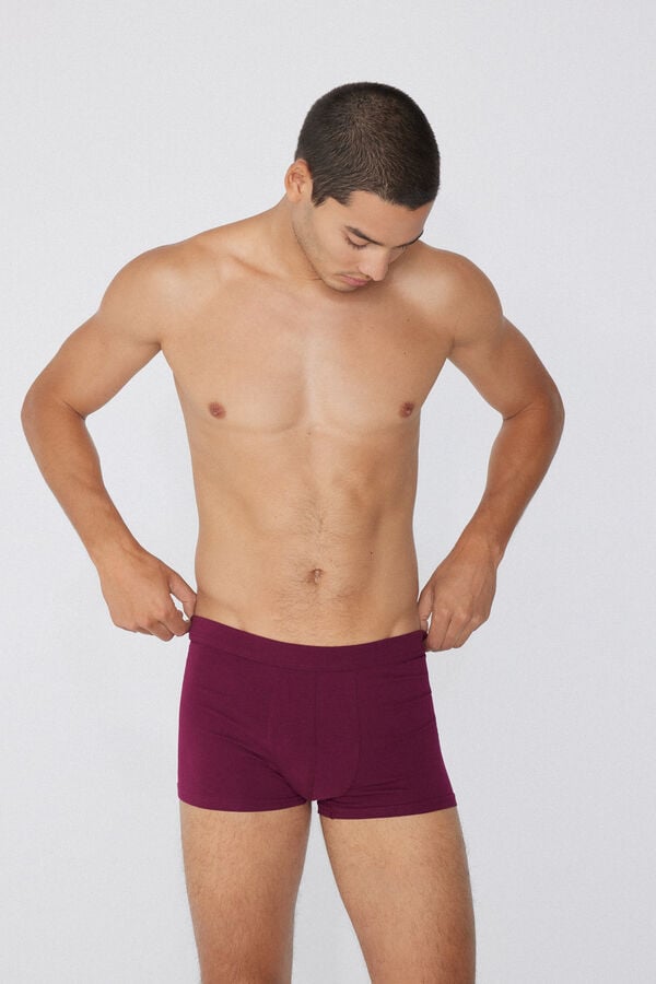 Tezenis Bóxer de Algodón Elástico Promoción trimestral