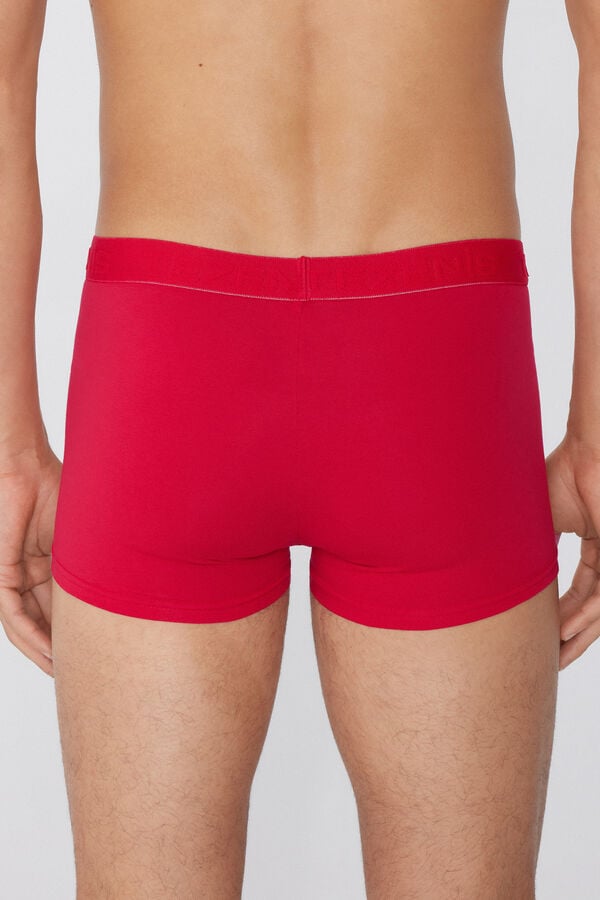 Tezenis Bóxer de Algodón Orgánico con Costuras en Contraste con Logo Precio ultrabajo